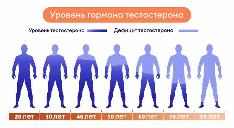 Норма тестостерона у женщин