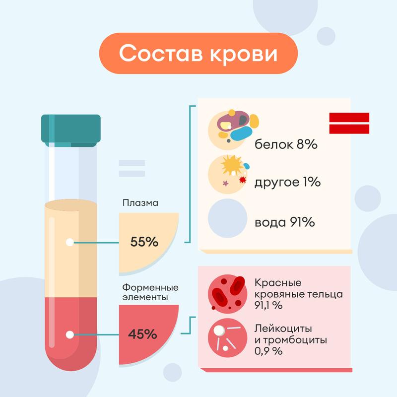 Эритроциты в крови: функции, норма и отклонения показателей