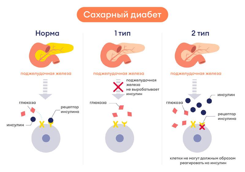 Программа лояльности